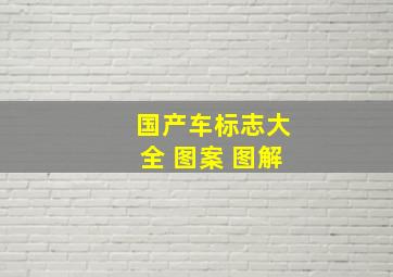 国产车标志大全 图案 图解